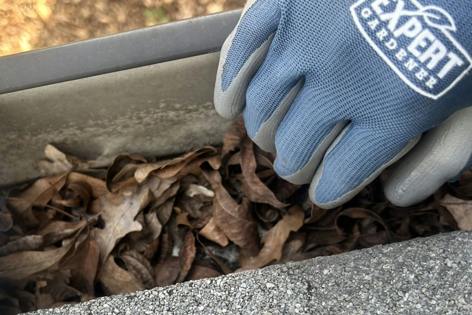 Gutter Cleaning Haughton