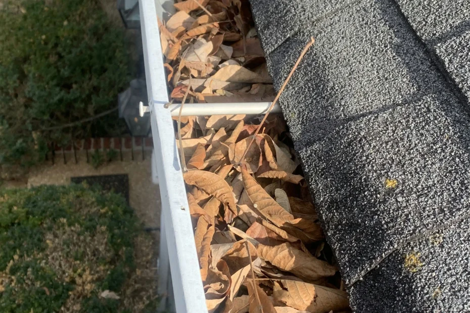 Gutter Cleaning Haughton